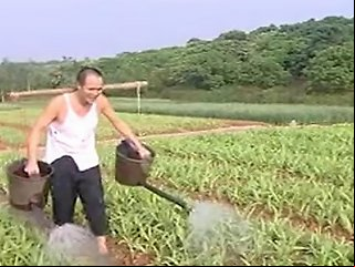 Chinese Girl Porn Videos